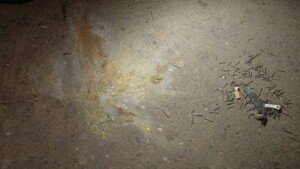 উপদেষ্টা রিজওয়ানার বাসার সামনে জোড়া ককটেল বিস্ফোরণ