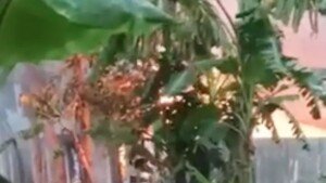 পাবনায় কিশোরীকে ধষর্ণ-হত্যার জেরে আসামিদের বাড়িতে আগুন, দগ্ধ হয়ে নিহত ৩
