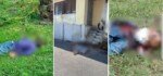 মালয়েশিয়ায় তিন বাংলাদেশিকে হত্যা, সহকর্মী গ্রেপ্তার